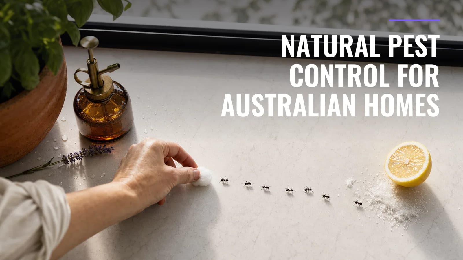 Natural Pest Control for Australian Homes