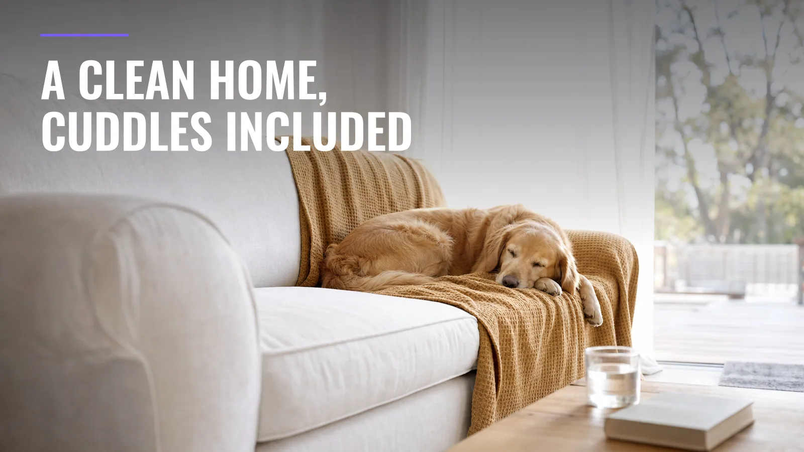 How to Keep Your House Clean With Pets