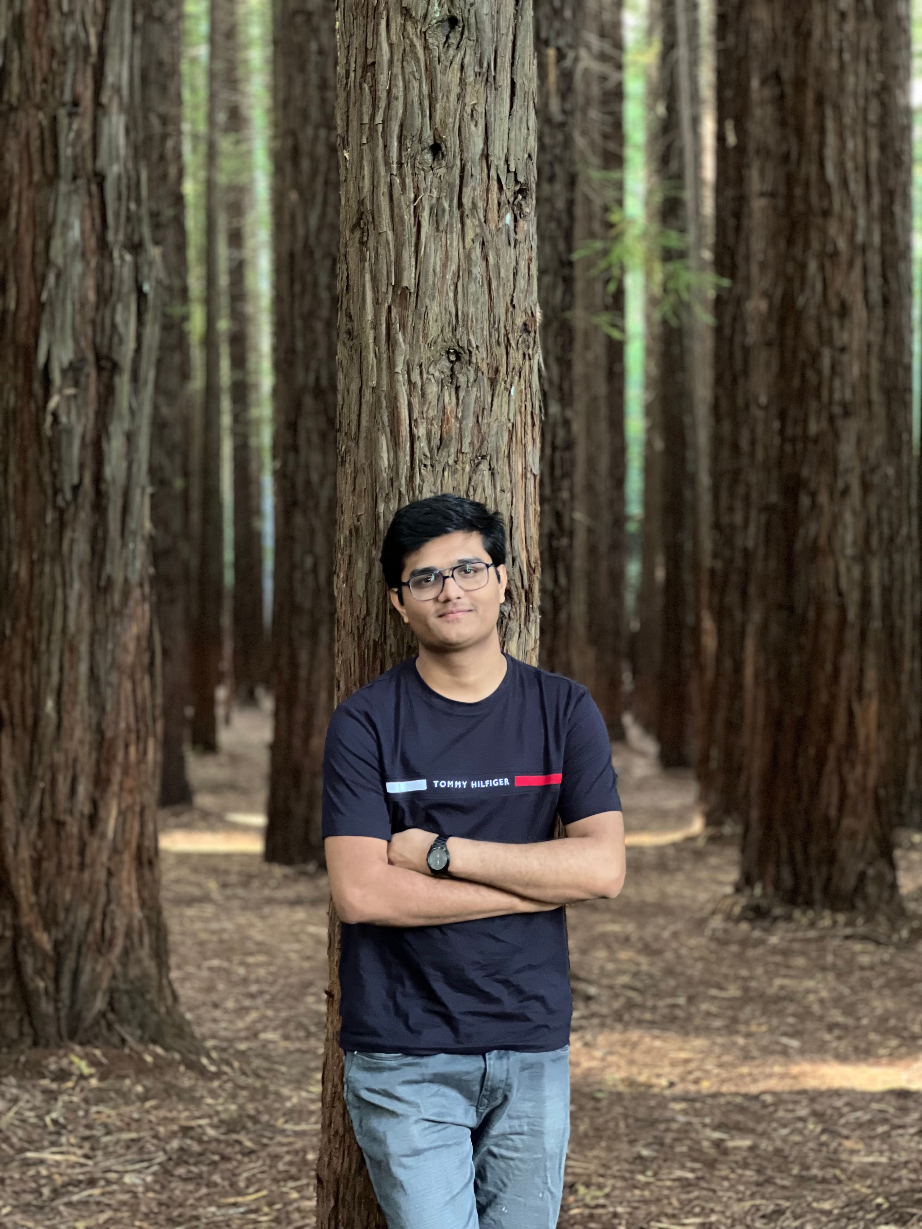 Pruthvirajsinh, house cleaner in Werribee