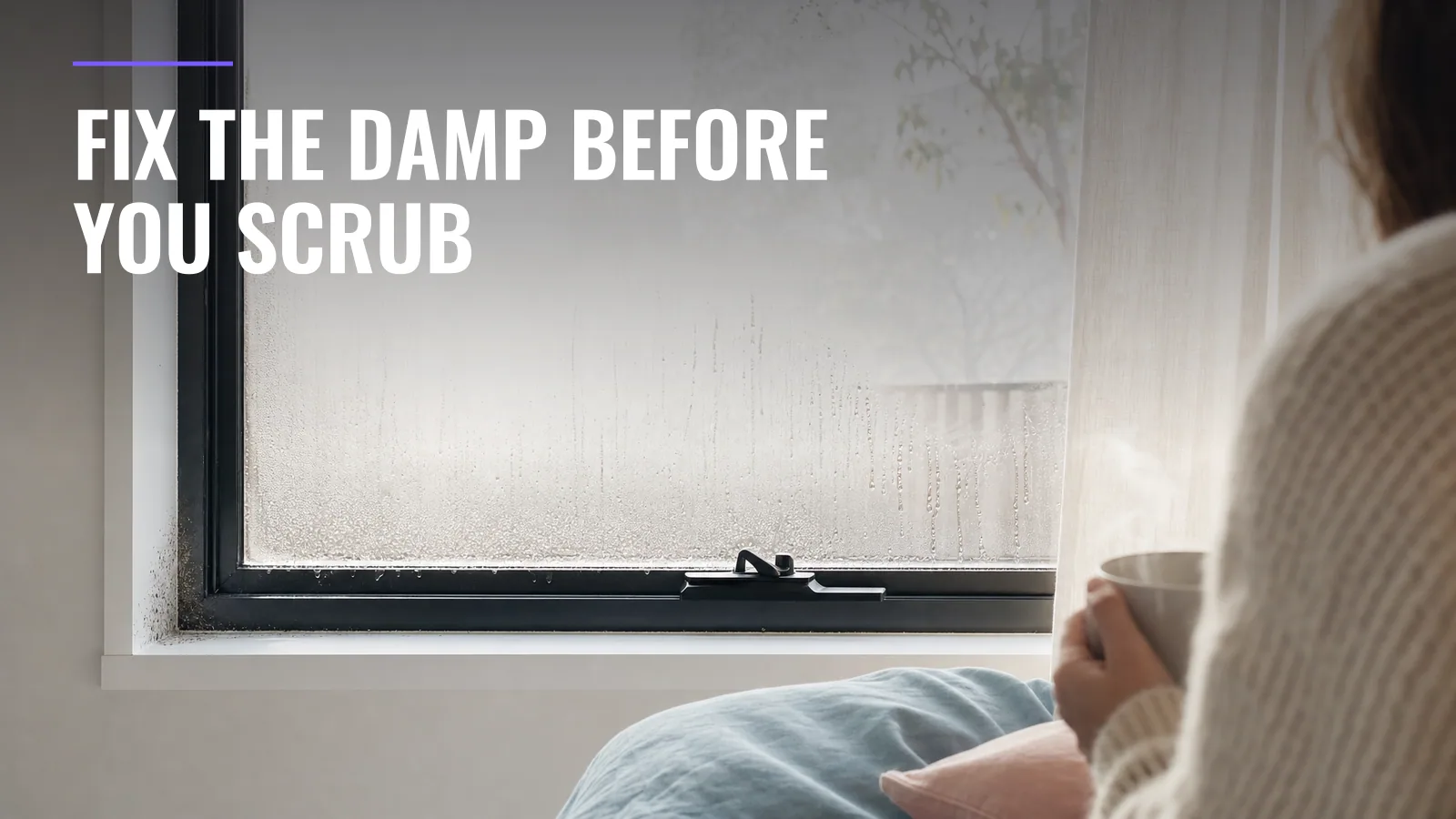 How to Get Rid of Mould in Your Home