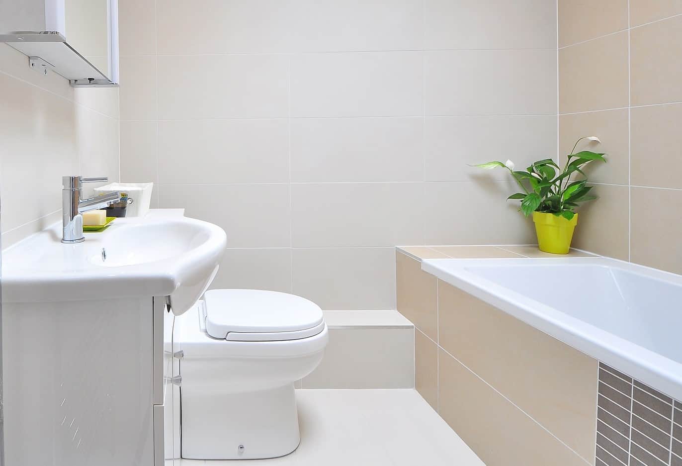 How to Clean a Toilet and Bidet: 8 Easy Steps to Follow